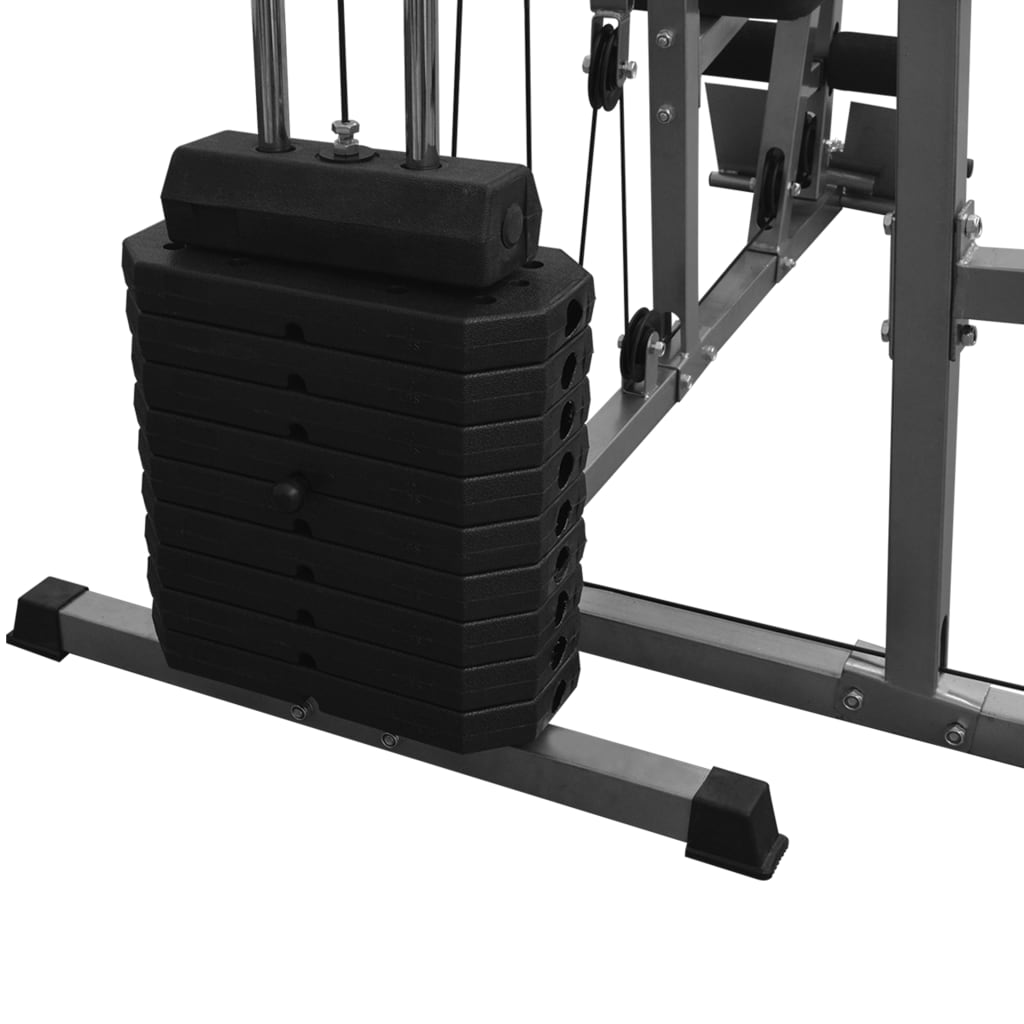 vidaXL Večfunkcijska fitnes naprava za domačo telovadnico 65 kg