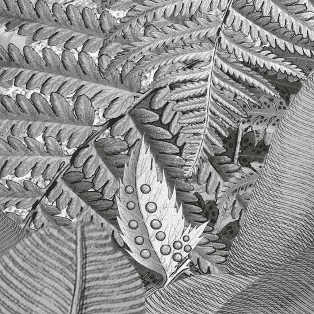 Komar Stenska slika Amazonia črna in bela 400x250 cm