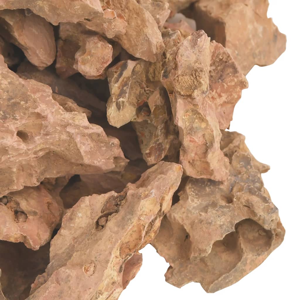 vidaXL Zmajev kamen 10 kg rjavi 1-10 cm