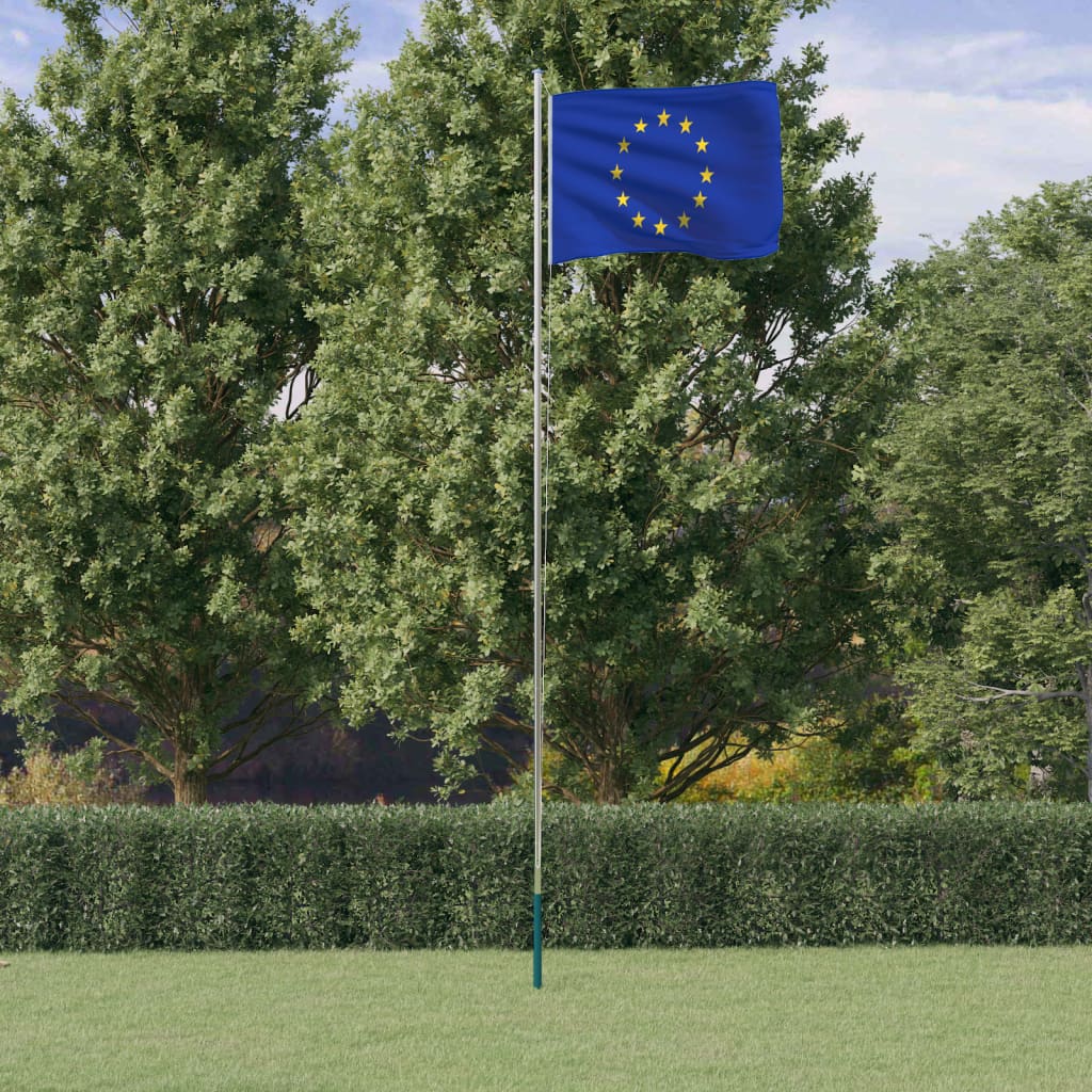 vidaXL Zastava Evrope in drog 6,23 m aluminij