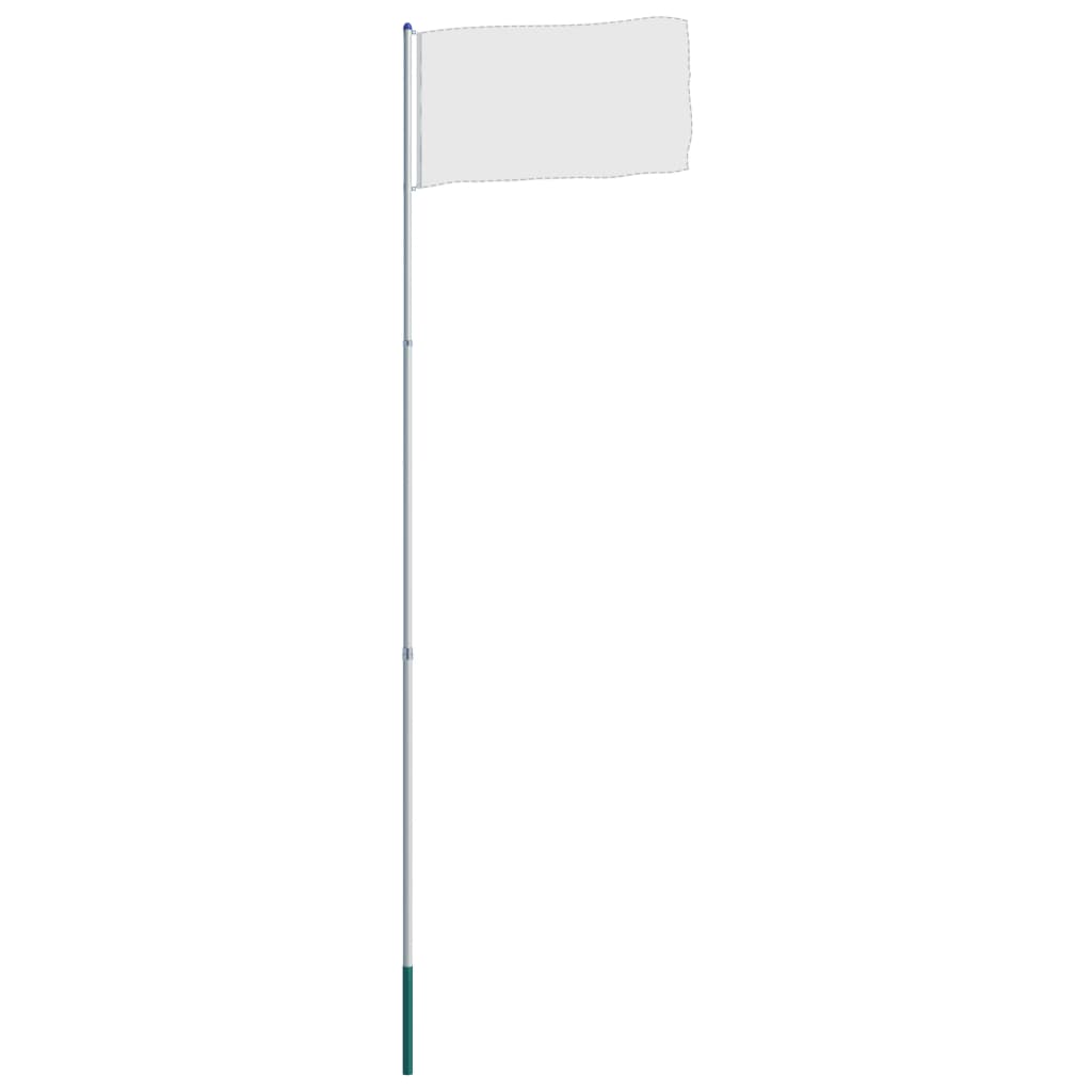 vidaXL Teleskopski drog za zastavo iz aluminija 6 m