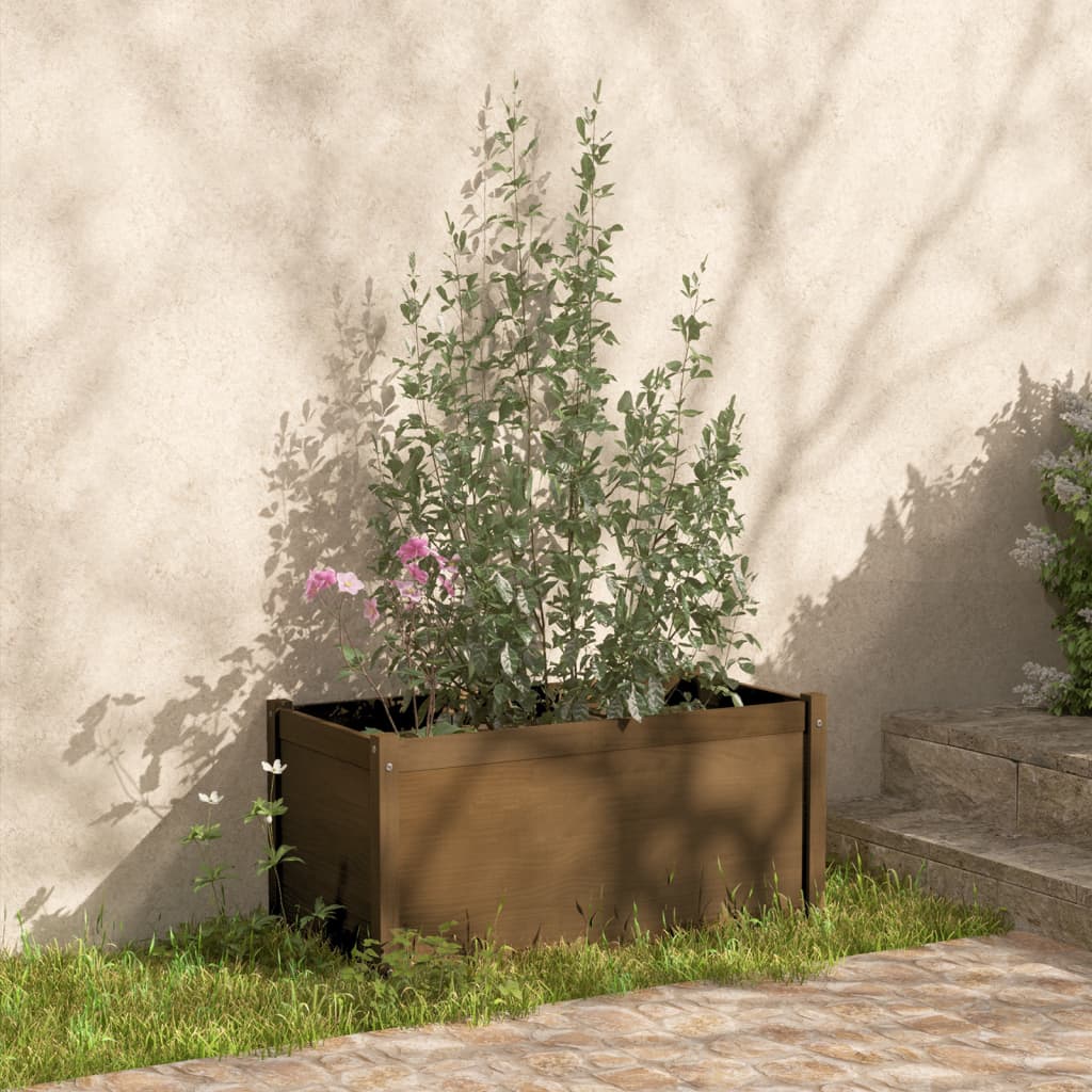 vidaXL Vrtno cvetlično korito medeno rjavo 100x50x50 cm trdna borovina