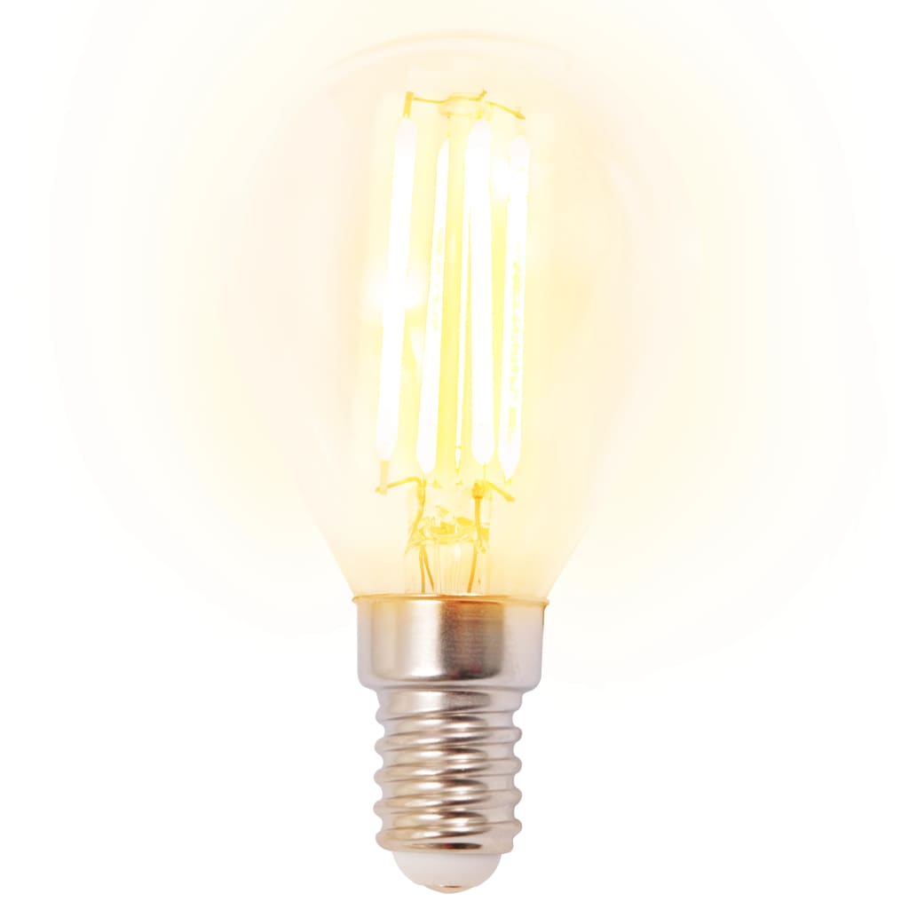 vidaXL Stropna svetilka z 2 LED žarnicama z žarilno nitko 8 W