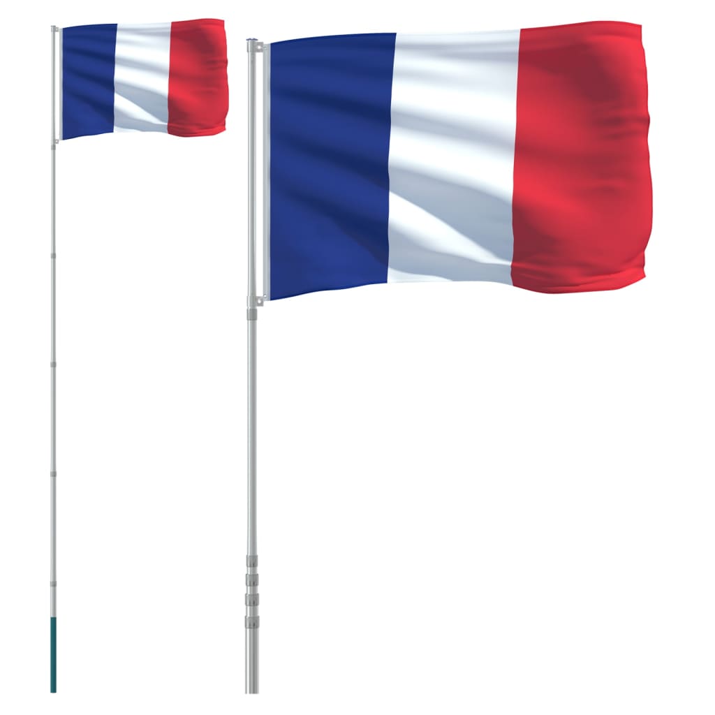 vidaXL Zastava Francije in drog 5,55 m aluminij