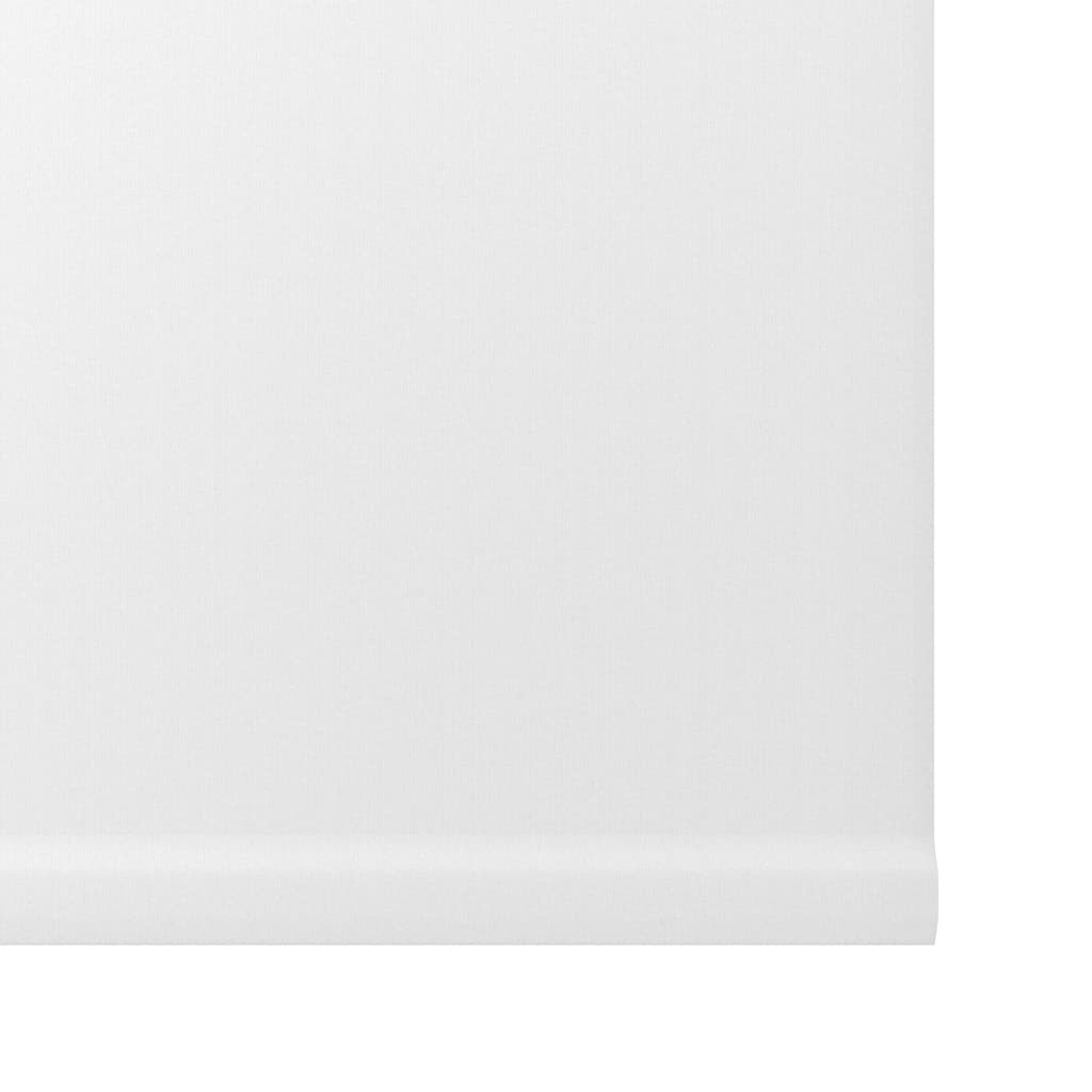Decosol Rolo senčilo belo 60x190 cm