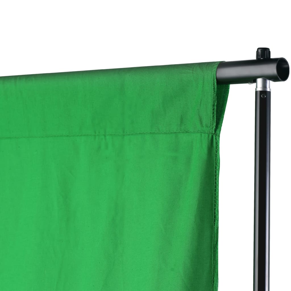 vidaXL Podporni sistem za ozadje 300 x 300 cm zelene barve
