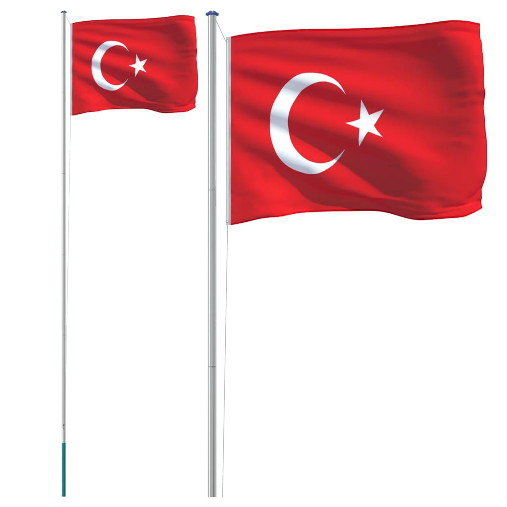 vidaXL Zastava Turčije in drog 6,23 m aluminij